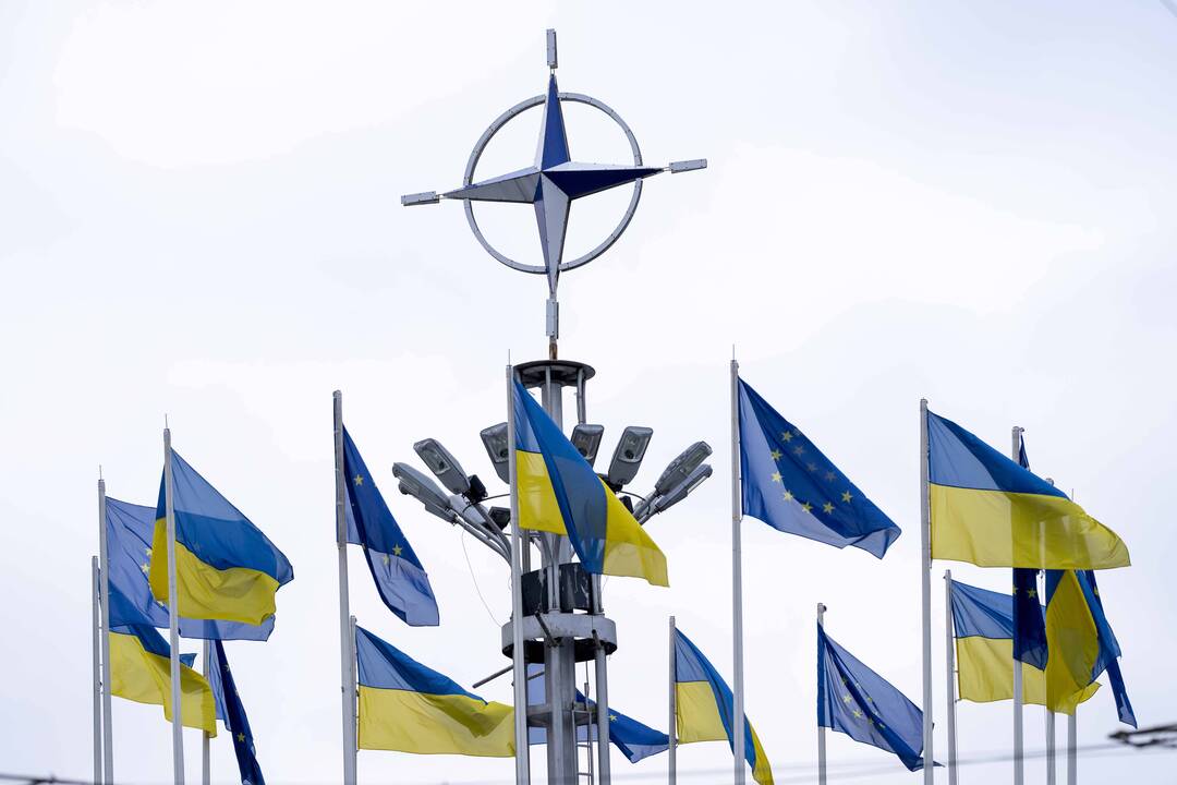 NATO Parlamentinė Asamblėja ragina kaip galima greičiau priimti Ukrainą į aljansą
