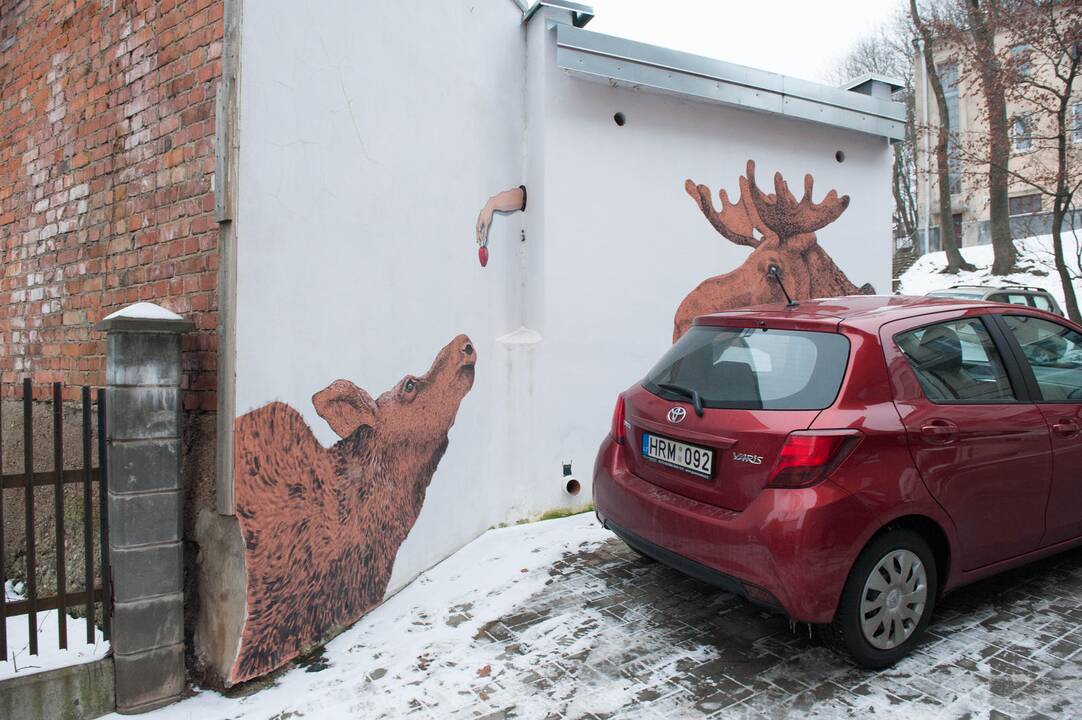 Piešti briedžiai Parodos kalno gatvėje