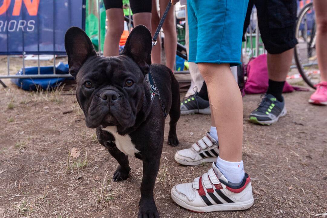 Kauno triatlonas Orion Tri-Fun 2018