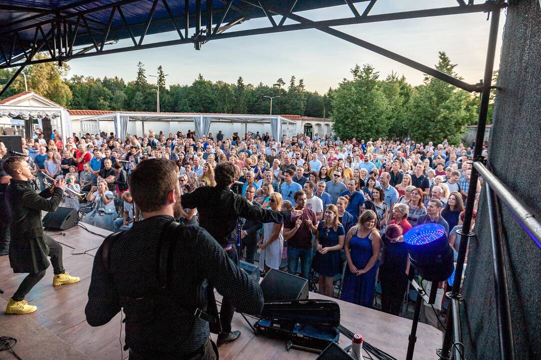 Pažaislio liepų alėjos vakarai | Antikvariniai Kašpirovskio Dantys