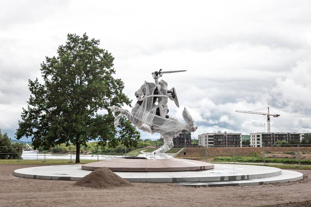 Vytis laukia atidengimo