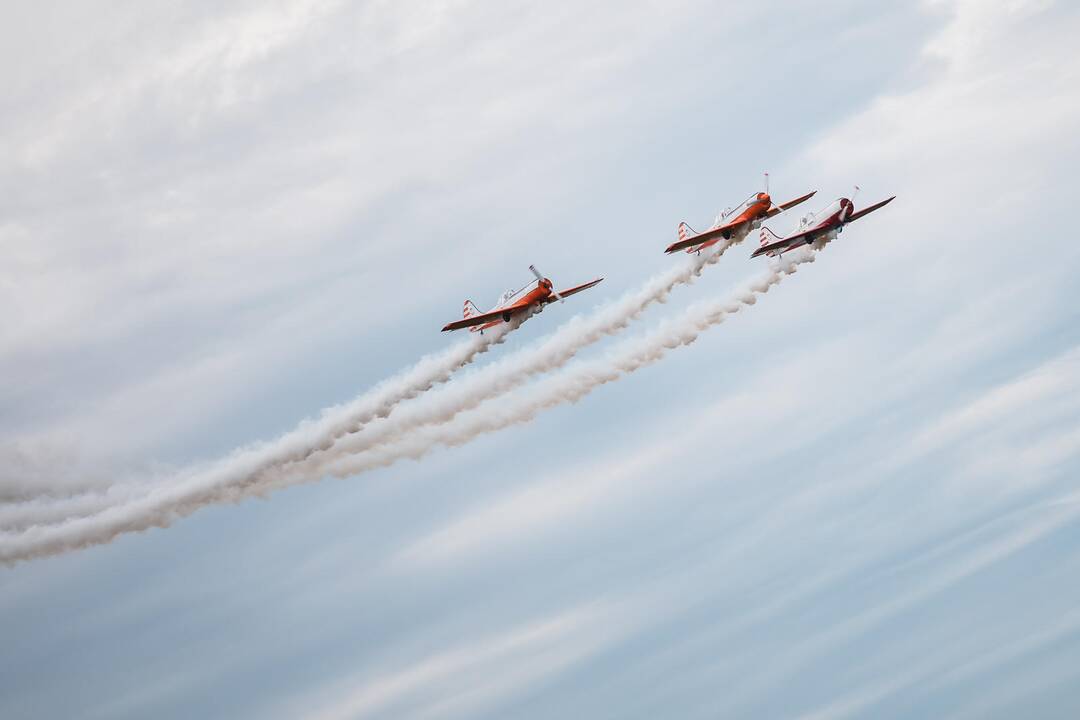 Aviacijos šventė S. Dariaus ir S. Girėno aerodrome (2019)