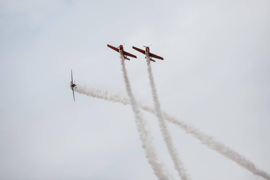 Aviacijos šventė S. Dariaus ir S. Girėno aerodrome (2019)