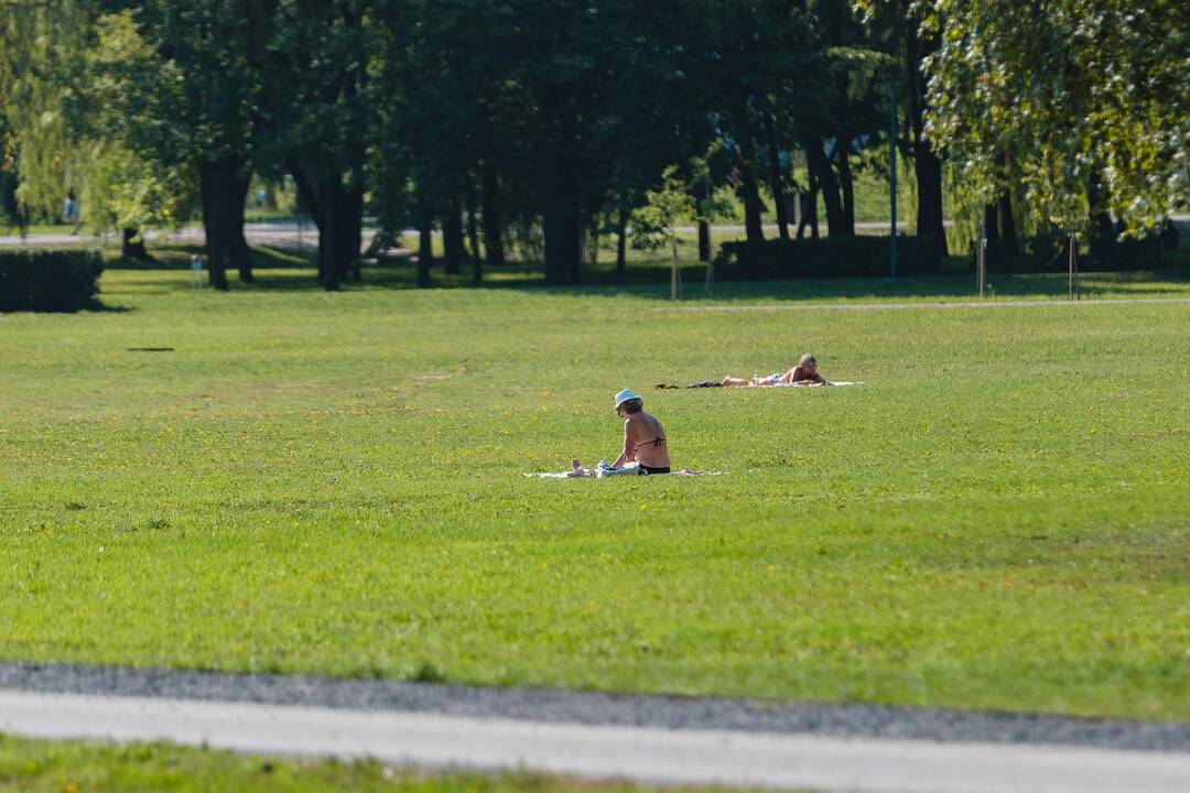 Atnaujinto Draugystės parko atidarymas