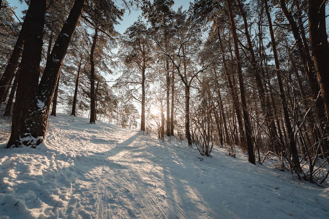 Kauniečiai ir toliau neatsispiria žiemos pramogoms