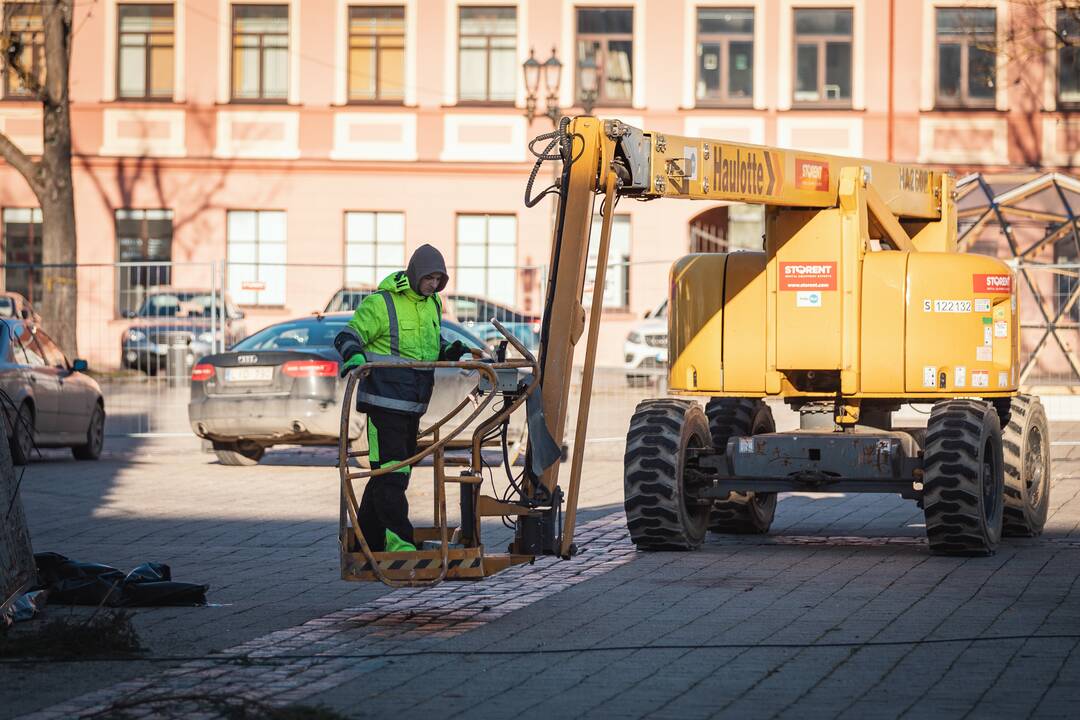 Pagrindinė Kauno Kalėdų eglė įgauna kontūrus
