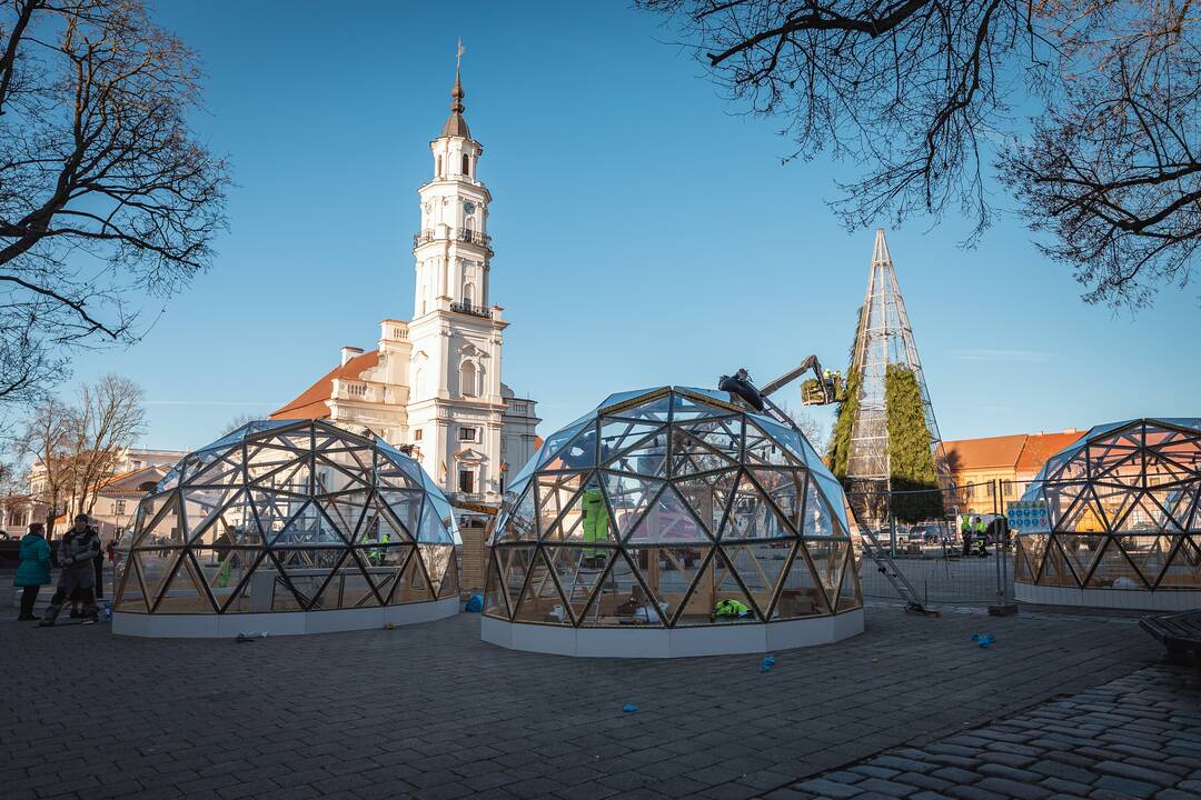 Pagrindinė Kauno Kalėdų eglė įgauna kontūrus