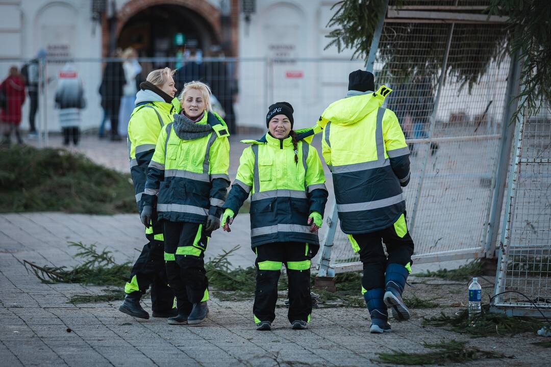 Pagrindinė Kauno Kalėdų eglė įgauna kontūrus