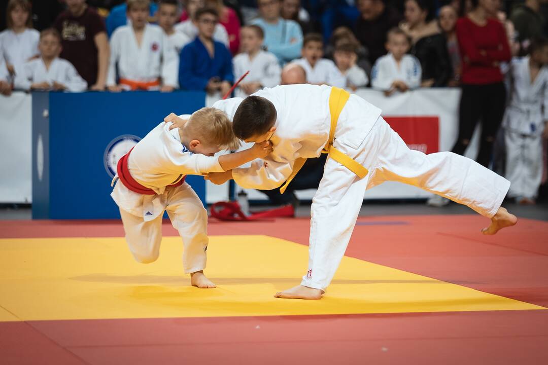 Tarptautinis „Budoka“ dziudo turnyras