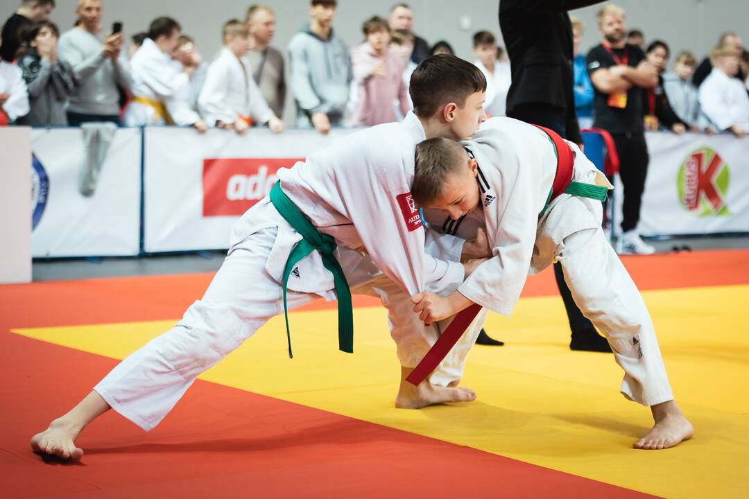 Tarptautinis „Budoka“ dziudo turnyras