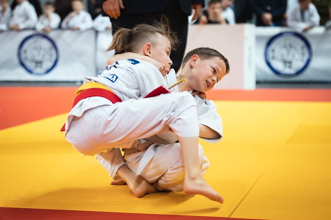 Tarptautinis „Budoka“ dziudo turnyras