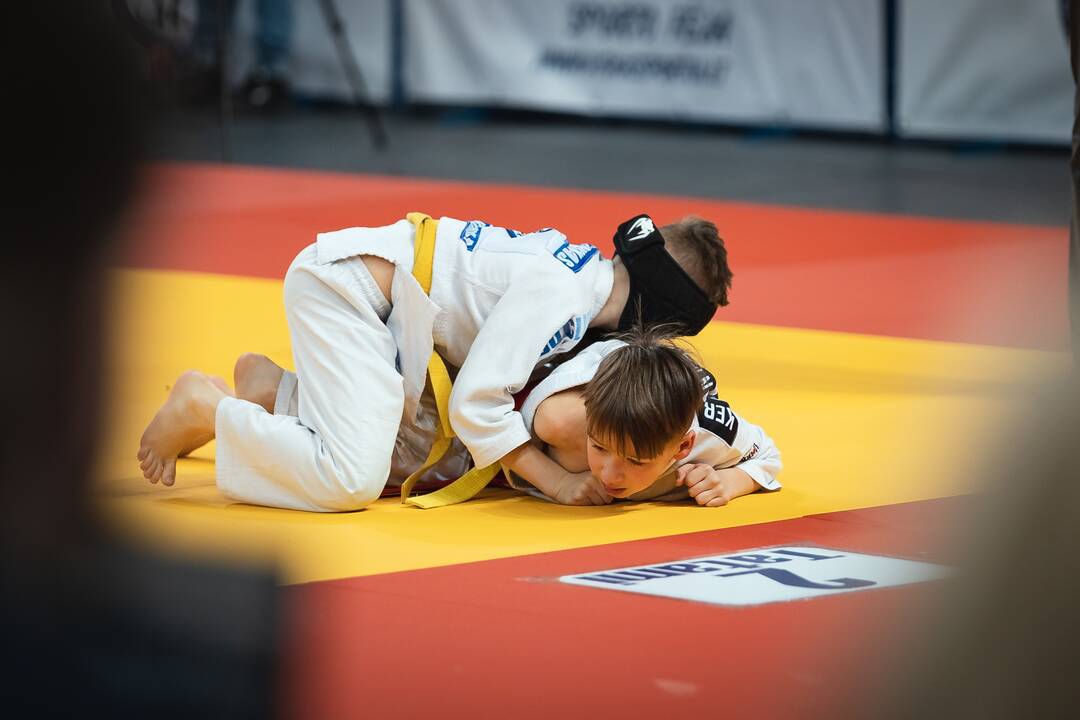 Tarptautinis „Budoka“ dziudo turnyras