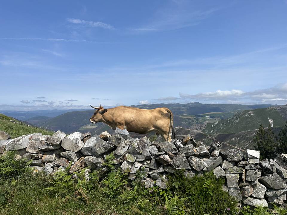 Nauda: žygio metu Tadas išvalė ir kūną, ir sielą.