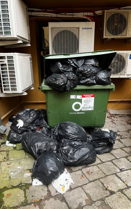 Padariniai: aplaidžiai tvarkomi konteineriai apkartino aplinkinių gyvenimo kasdienybę.