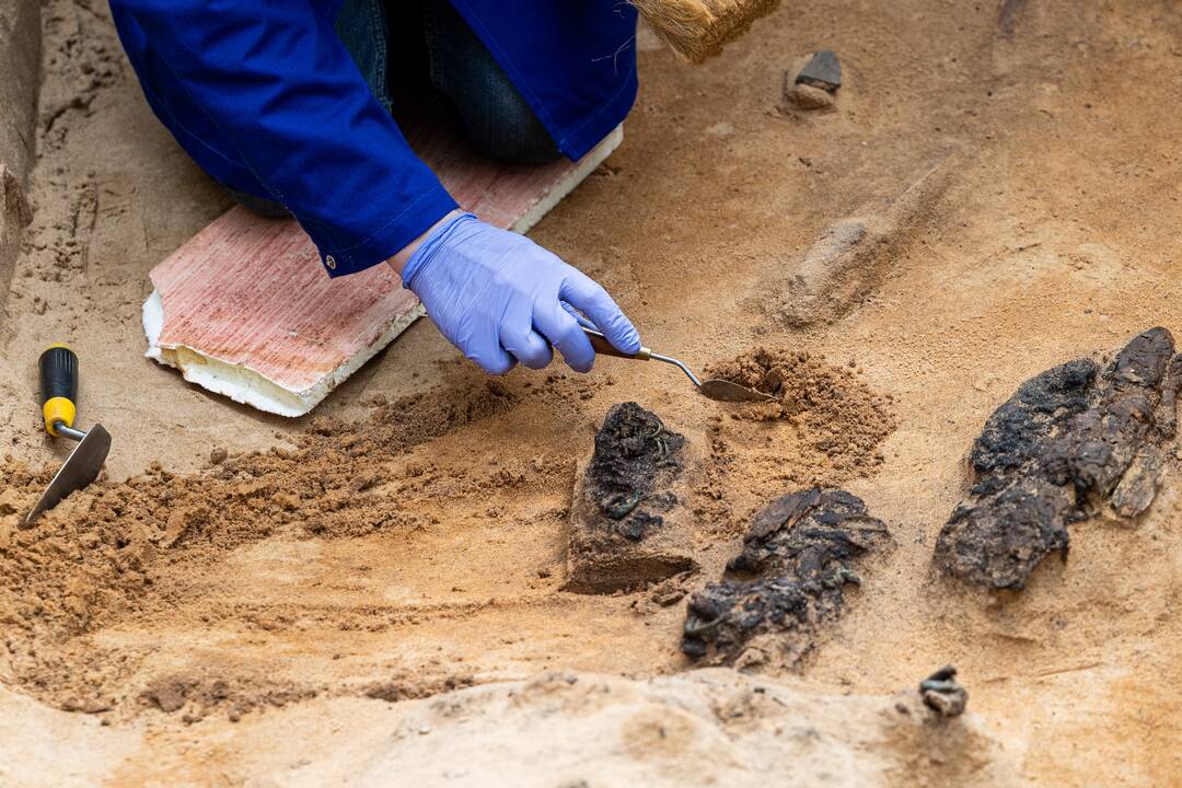 Verkių dvarvietėje pristatomas archeologinis atradimas