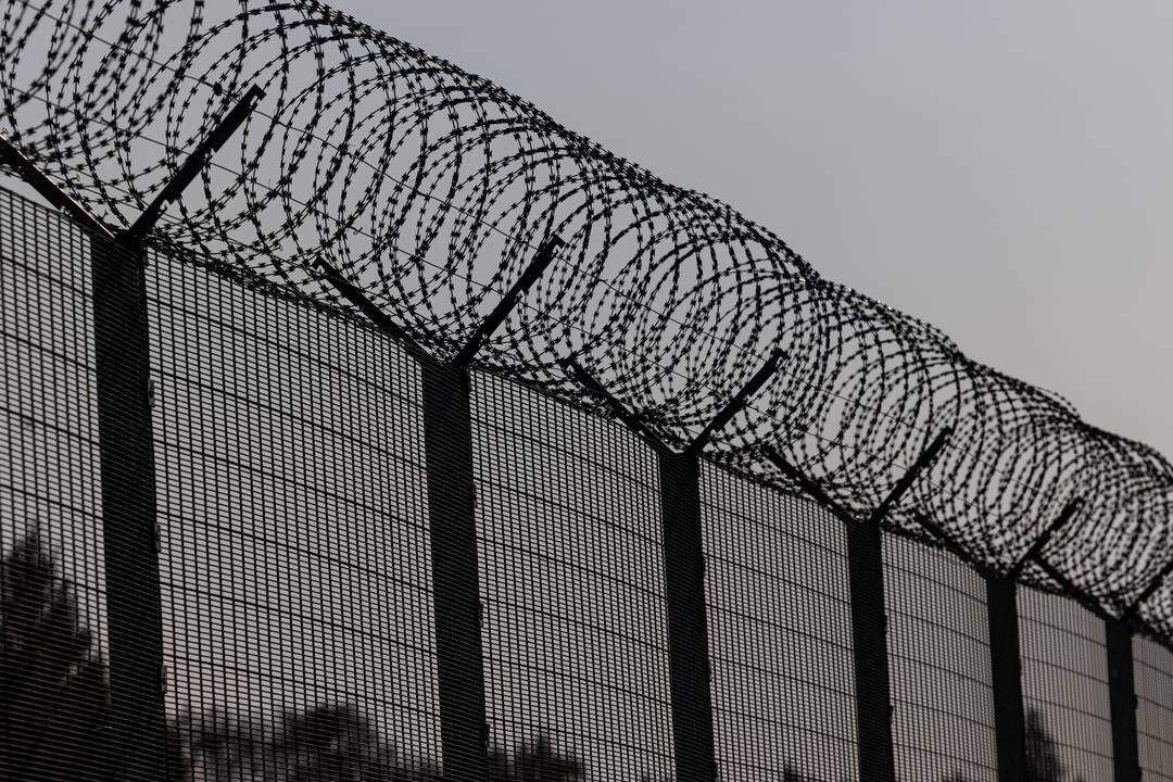 Pareigūnas: Lietuva ir Lenkija šiemet grąžino 92 migrantus, kirtusius Latvijos „žaliąją“ sieną