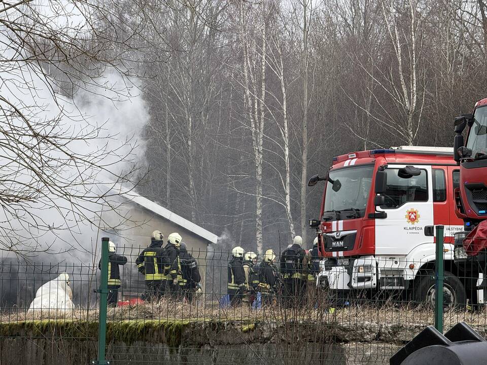 Klaipėdos rajone užsiliepsnojo medžio apdirbimo įmonė