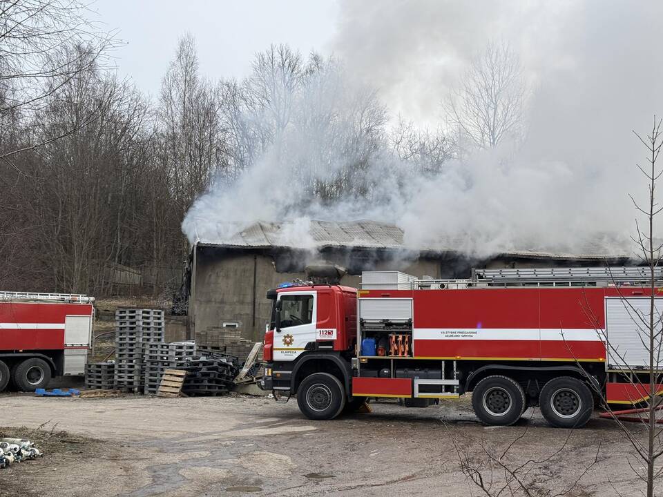 Klaipėdos rajone užsiliepsnojo medžio apdirbimo įmonė