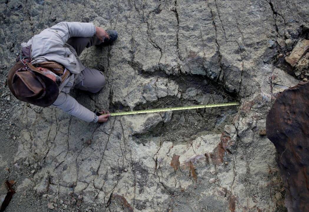 Atradimas: rasti beveik identiški dinozaurų pėdsakai, nutolę vienas nuo kito 6 tūkst. km atstumu, patvirtinantys senovinio superkontinento, vadinamo Gondvana, egzistavimą.