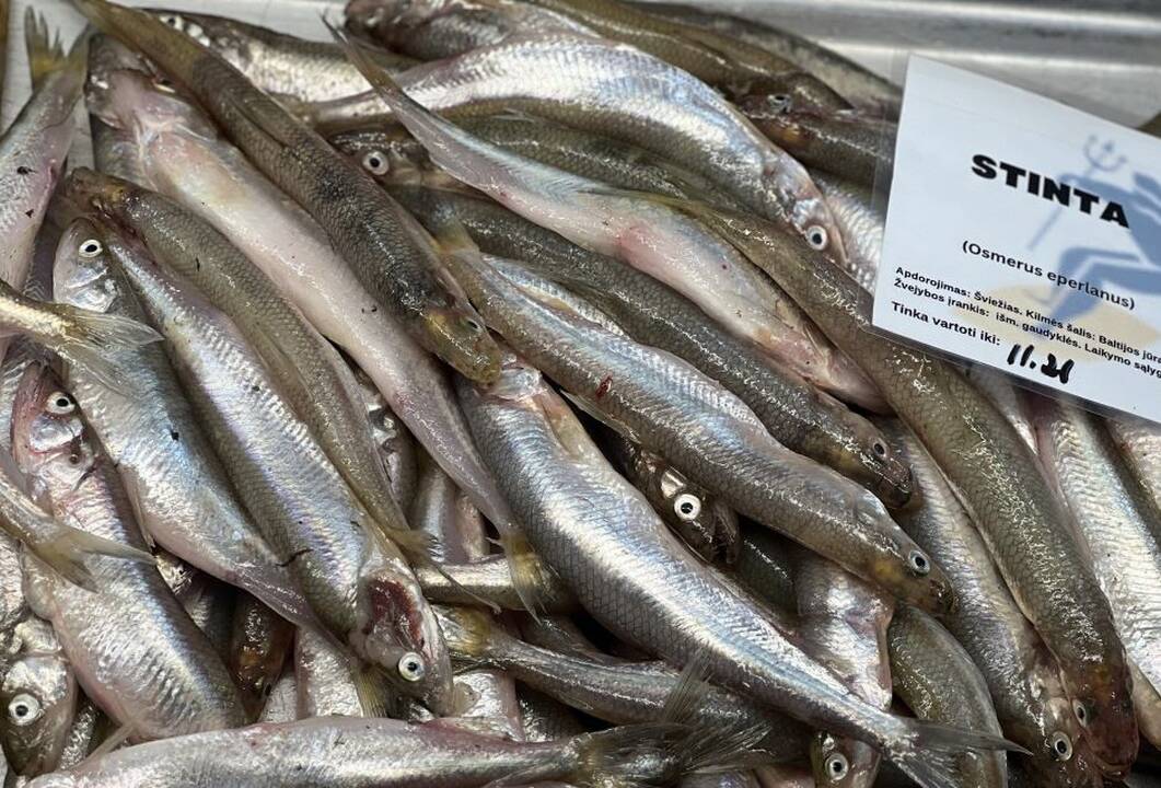 Kvapas: žvejų sugautos ir į turgų atgabentos stintos lėmė sujudimą prekyvietėje.
