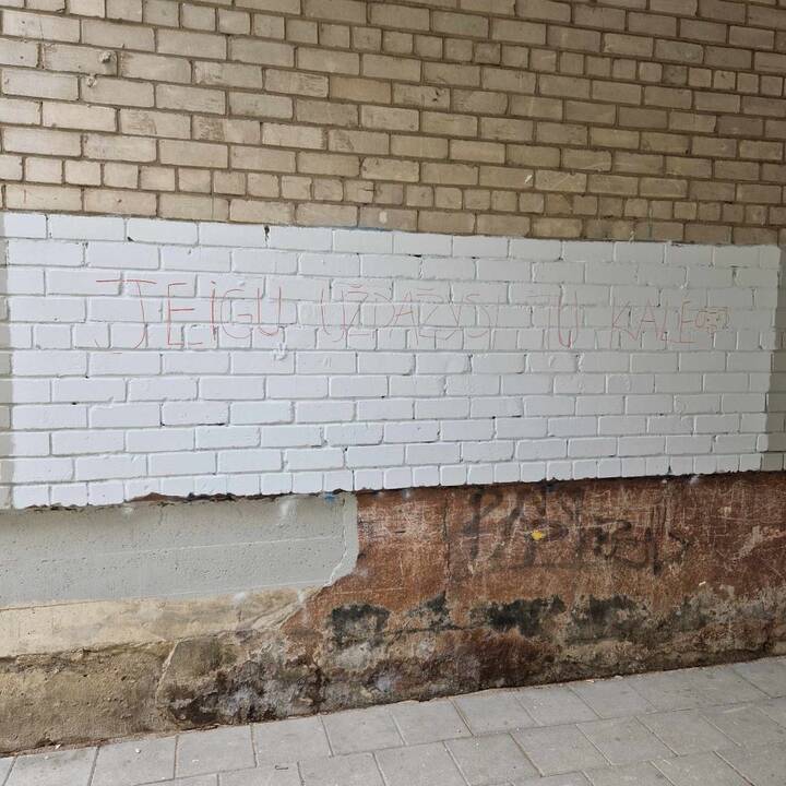 Nemalonu: Debreceno g. 42 namo siena jau ne kartą kentėjo dėl vandalizmo. Nespėjus uždažyti sienos čia vis atsiranda naujų terlionių.