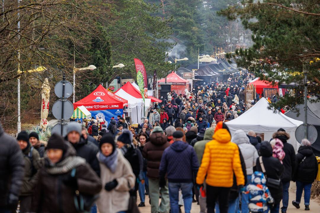 Festivalis „Palangos stinta“ 2025