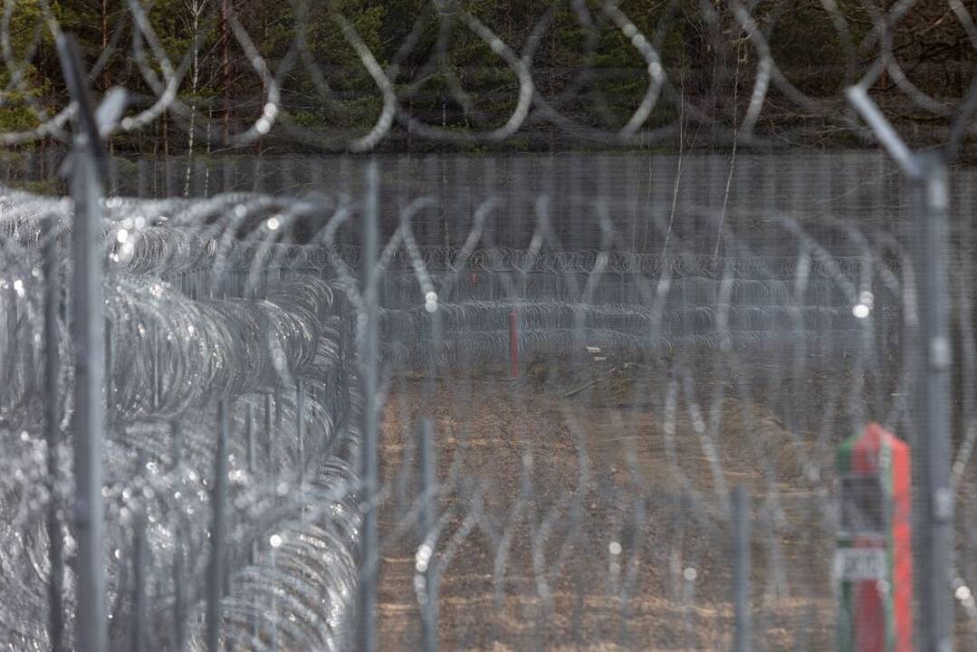 Pasienyje su Baltarusija apgręžti aštuoni neteisėti migrantai