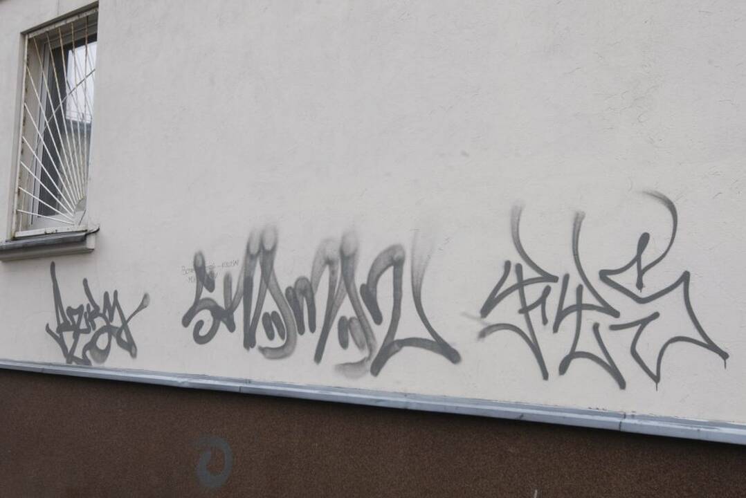 Asociatyvi nuotr.