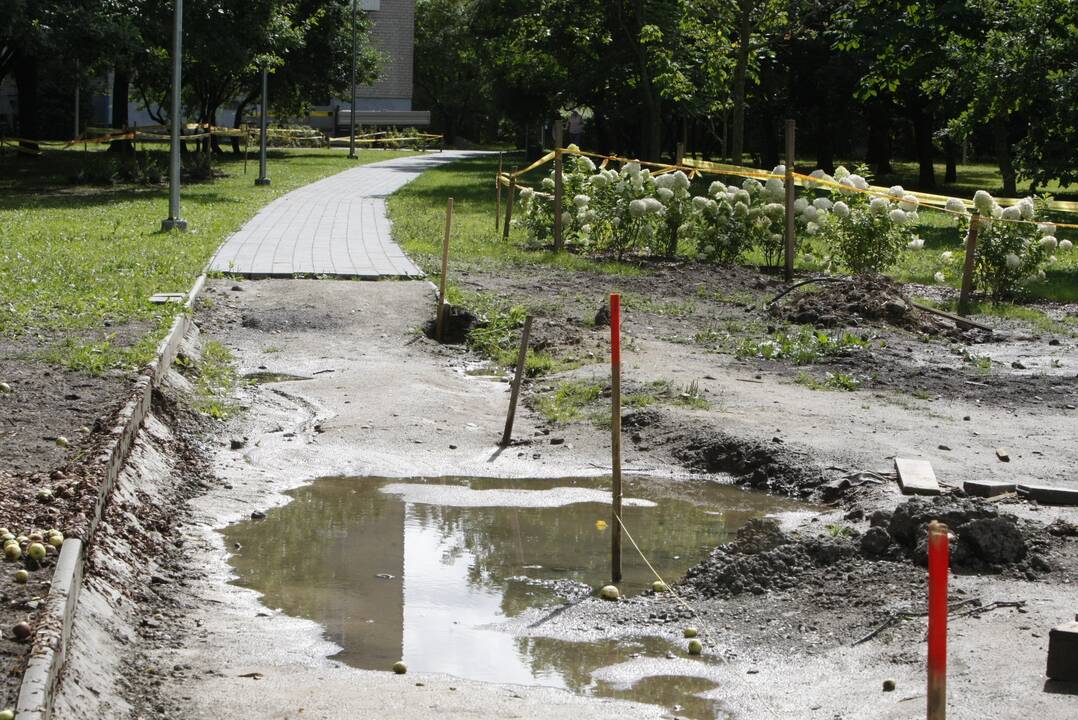 Vertinimai: Ąžuolų giraitės atnaujinimą stebintys klaipėdiečiai įžvelgia ne vien tik privalumų.