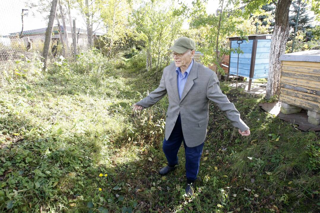 Apmaudas: profesorius A.M.Olšauskas buvo šokiruotas, kai, atvykęs į sodų bendriją, rado sunaikintą savo vaistinių augalų kolekciją.