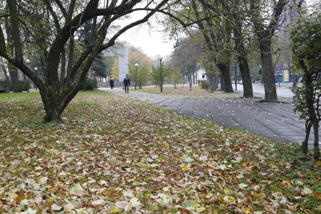 Ruduo: sekmadienis, kaip prognozuojama, bus tobulas mėgautis vystančios gamtos malonumais.