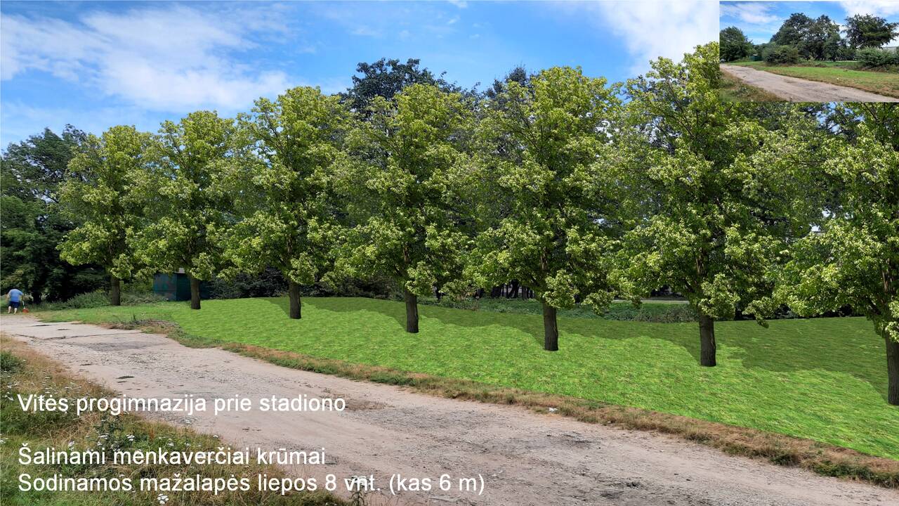 KLASCO Vitės kvartale pasodins medžių ir krūmynų