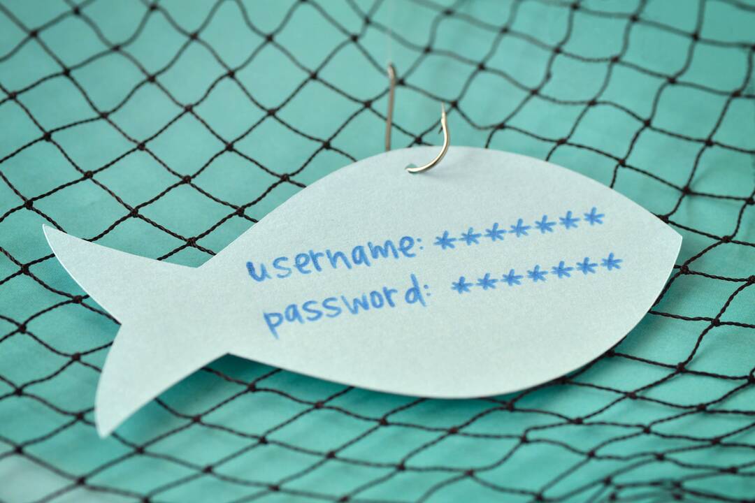 Kibernetinio saugumo ekspertas: visi atsidūrėme priešakinėse linijose