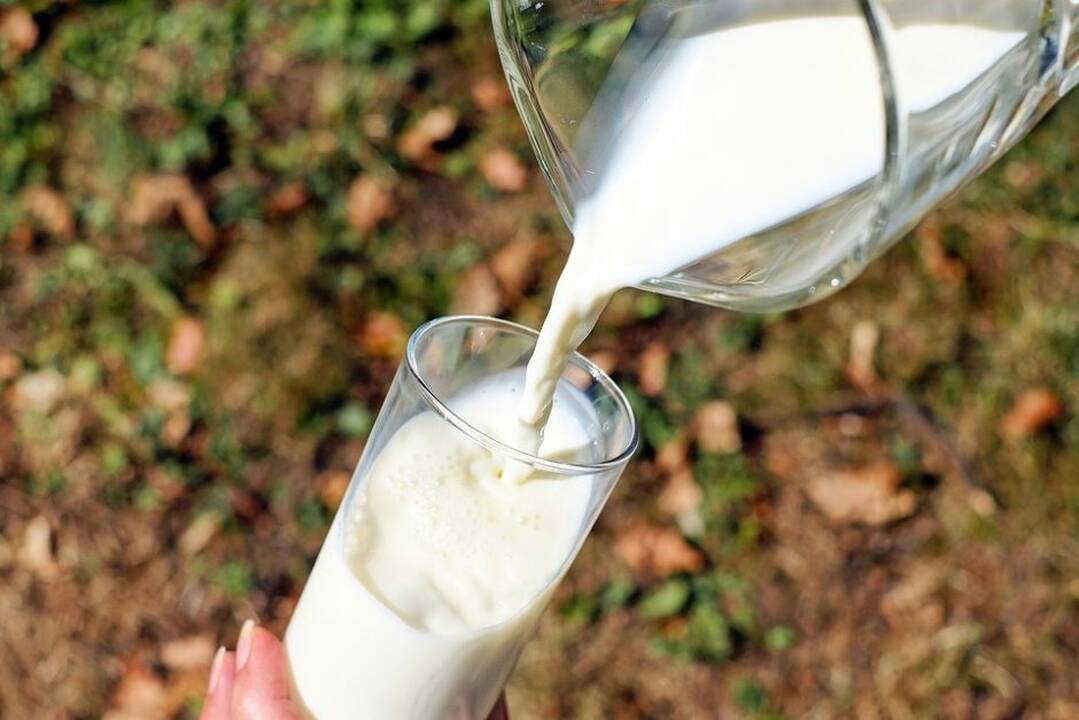 Pieno supirkimo kaina liepą mažėjo antrą mėnesį iš eilės
