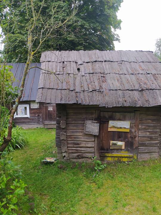 Akvilė Poškutė