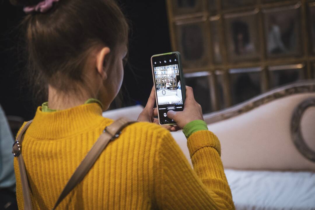 Edukacinis festivalis „Nerk į teatrą 2022“