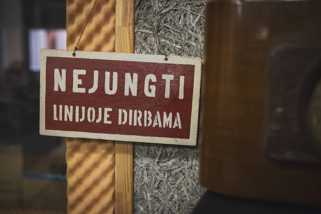 Edukacinis festivalis „Nerk į teatrą 2022“