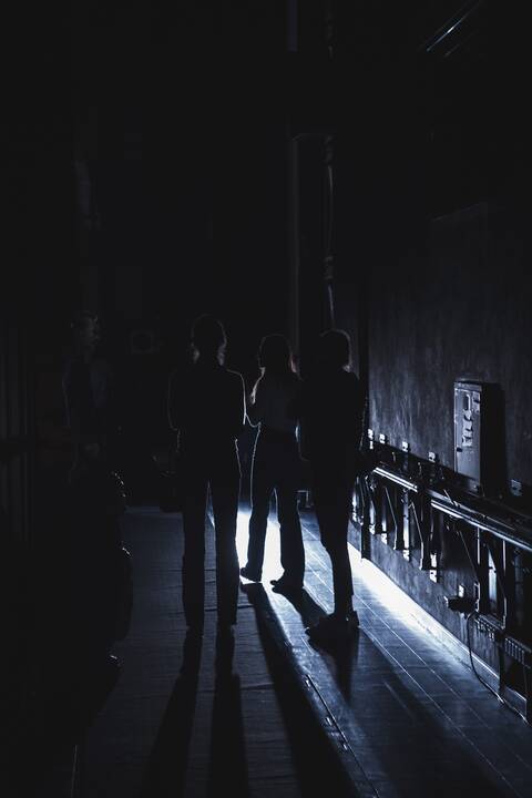Edukacinis festivalis „Nerk į teatrą 2022“