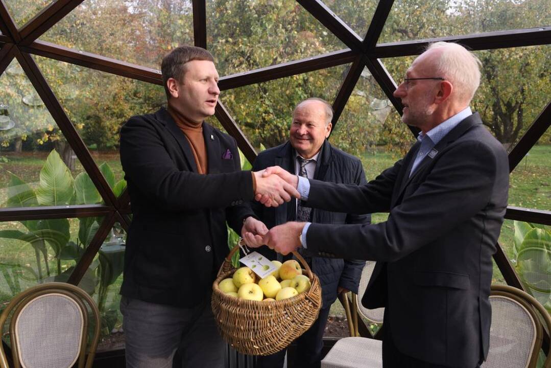 Obuoliai: Z.Kalesinskas (dešinėje) kultūros ministrą S.Kairį ir merą V.Makūną vaišino obuoliais iš profesoriaus T.Ivanausko užveisto sodo.