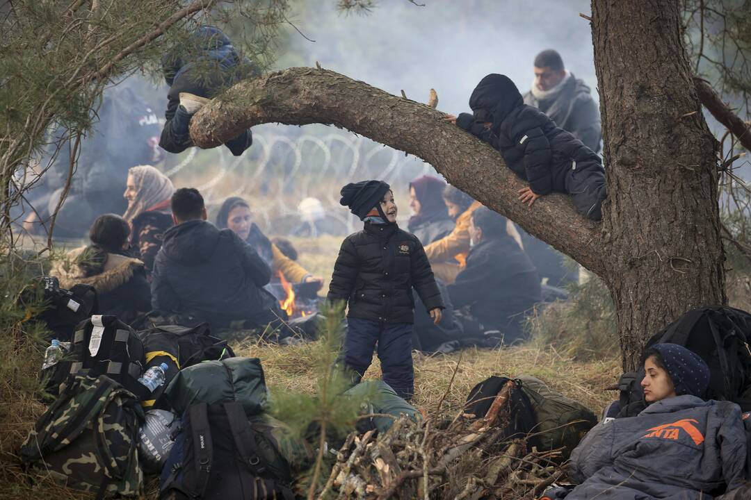 Neteisėti migrantai Lenkijos pasienyje.