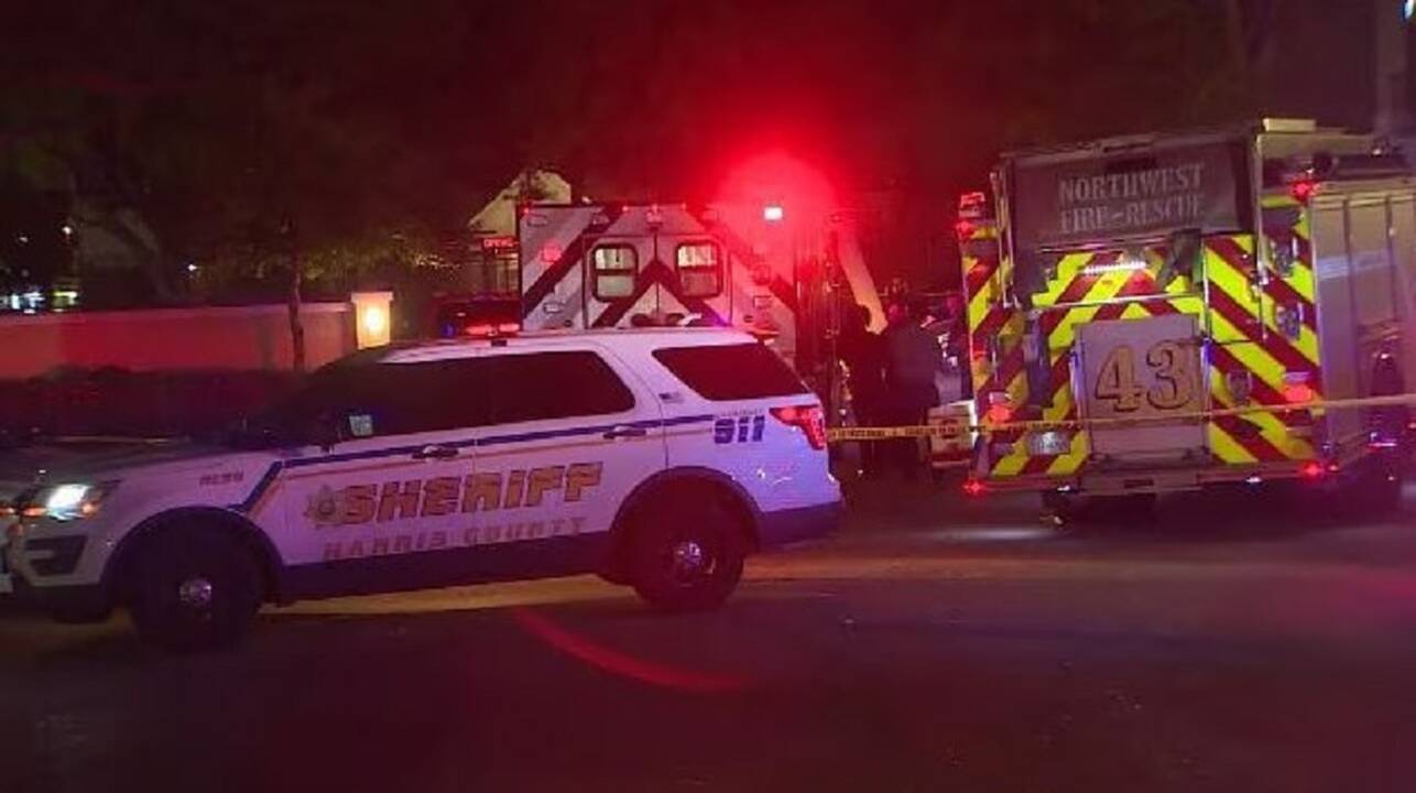 Tragedija Teksase: trimetė netyčia nušovė keturmetę seserį