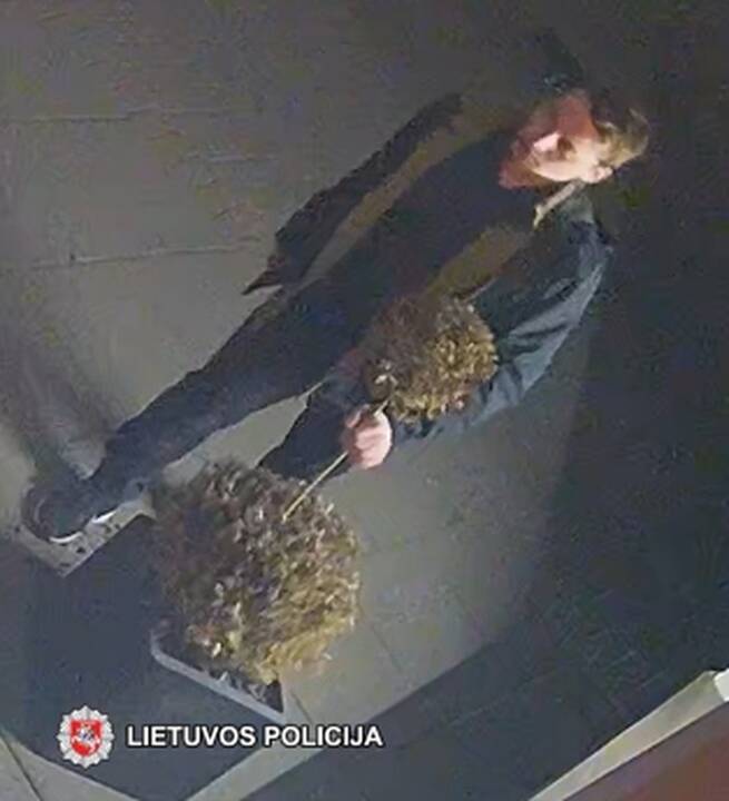 Nuotraukos  iš įvykio vietos.