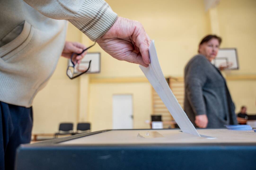 Europos Parlamento rinkimai Kaune
