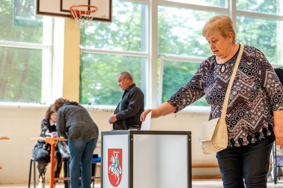 Europos Parlamento rinkimai Kaune