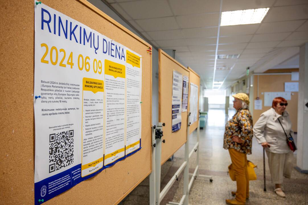 Europos Parlamento rinkimai Kaune