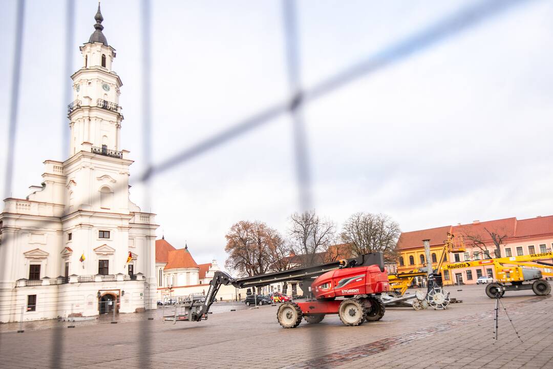 Prasidėjo Kauno eglutės montavimo darbai