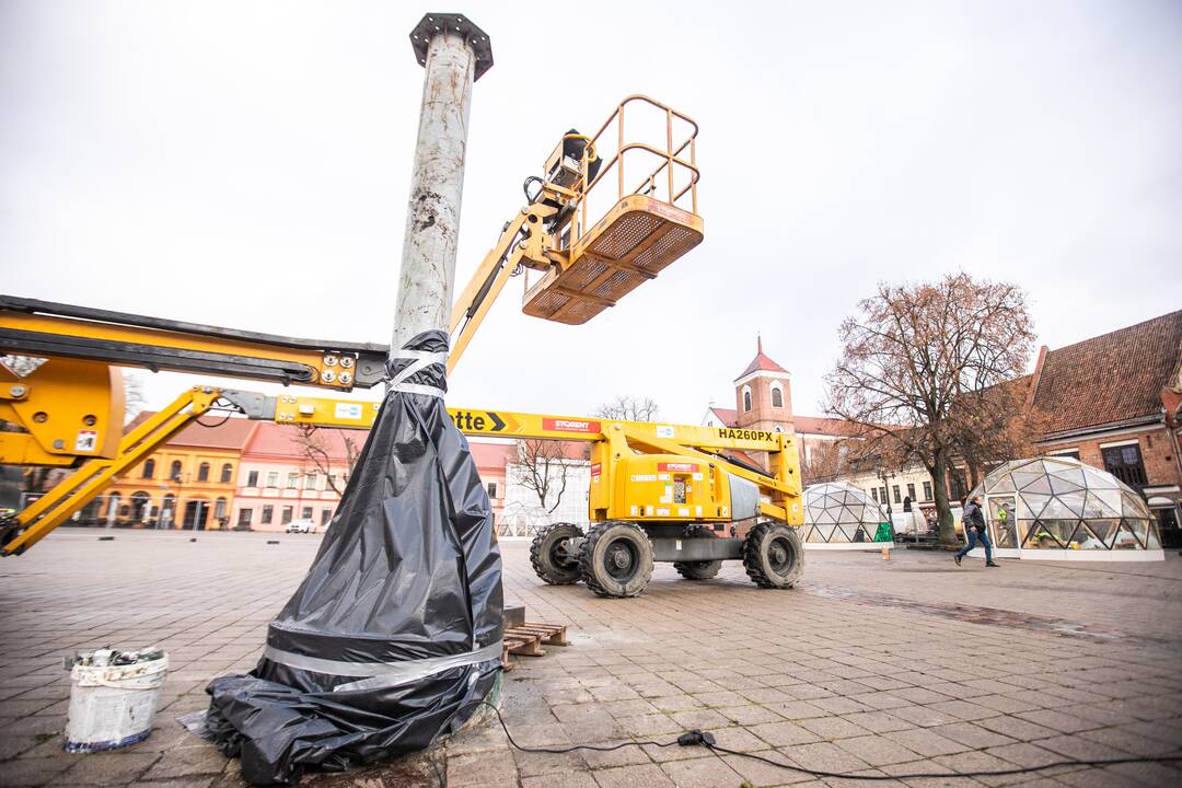 Prasidėjo Kauno eglutės montavimo darbai