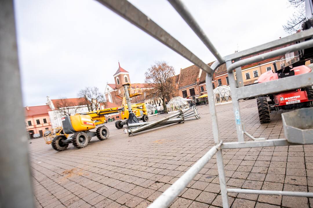 Prasidėjo Kauno eglutės montavimo darbai