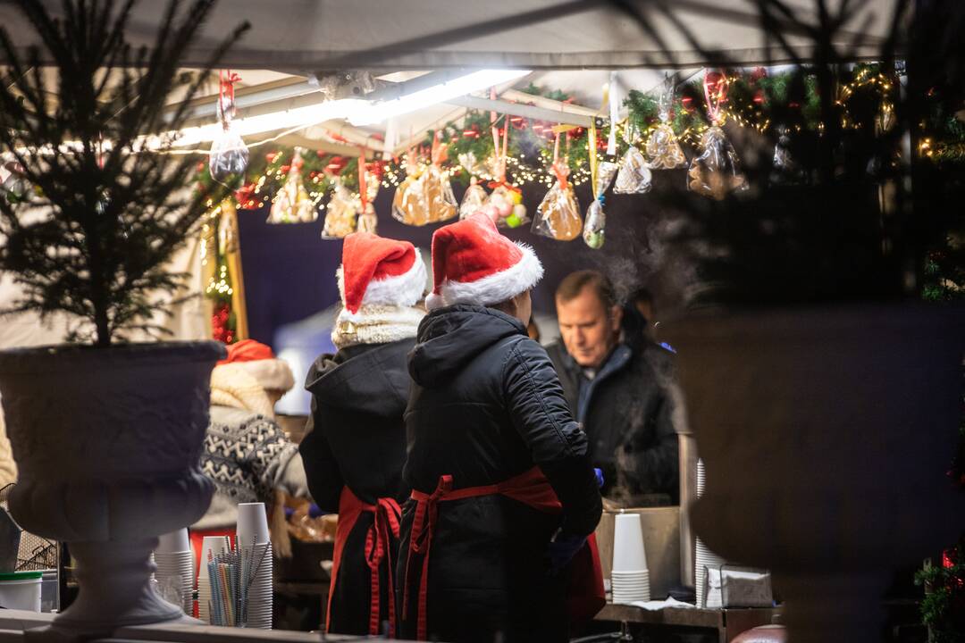 Įžiebta Kauno rajono kalėdinė eglutė