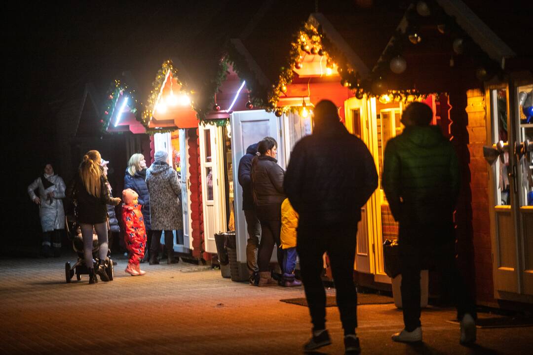 Įžiebta Kauno rajono kalėdinė eglutė